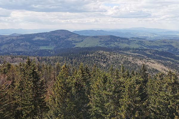 Rozległa panorama obejmująca pasma Sudetów z tarasu na Borówkowej Górze