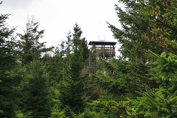 Konstrukcja widokowa na Czernicy harmonijnie wkomponowana w naturalny, leśny krajobraz Sudetów