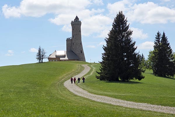 Kamienna Dalimilova rozhledna na wzgórzu Větrov, przypominająca architekturą zabytkowy zamek