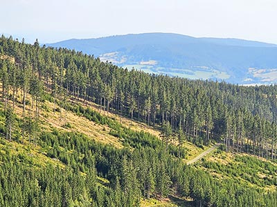widok zrobiony z najdłuższego mostu wiszącego w Czechach Sky Bridge