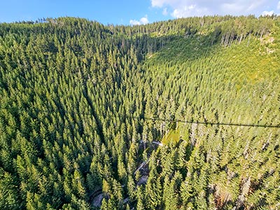 górskie lasy widziane z perespektywy mostu wiszącego Sky Bridge