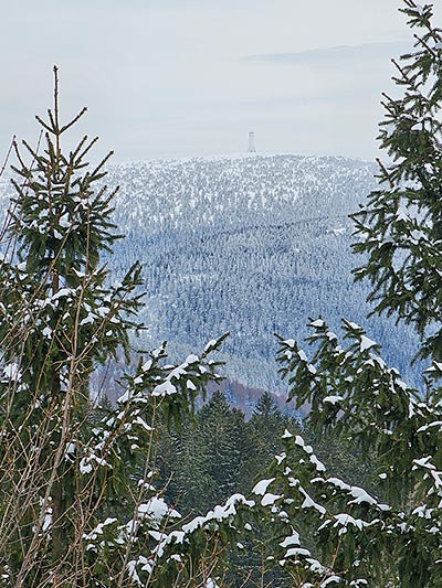 widok z Góry Iglicznej na Śnieżnik