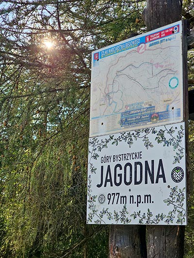 tablica informacyjna na Jagodnej