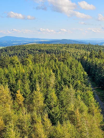 widok z wieży widokowej na Jagodnej