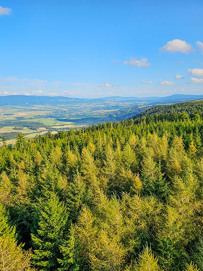 widok ze szczytu Jagodna