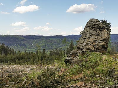 na szlaku prowadzącym na szczyt Trojak - Lądek Zdrój