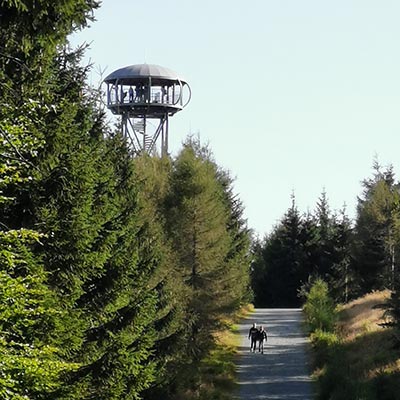 Jagodna w odległości 40 km od Starego Gierałtowa
