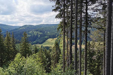 Horská krajina v Sudetech