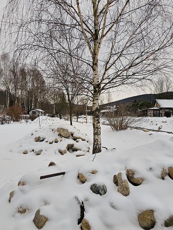 śnieg w ogrodzie Eskapady