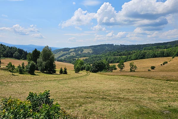 w drodze do bazy agroturystycznej w Starym Gierałtowie